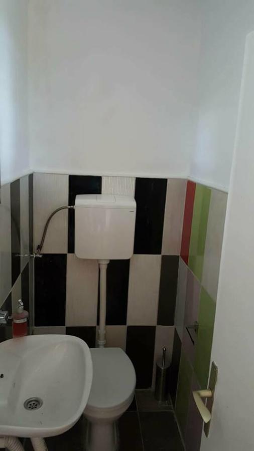 Hostel Belgrade Shungit Dragana Jeftica Br 10 Exterior photo